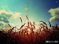 山西宇三勇科技有限公司