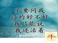 山西宇三勇科技有限公司