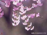 山西宇三勇科技有限公司