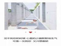 山西宇三勇科技有限公司
