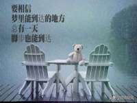 山西宇三勇科技有限公司