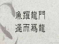 山西宇三勇科技有限公司