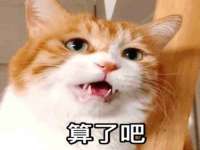 山西宇三勇科技有限公司