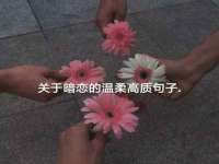 山西宇三勇科技有限公司