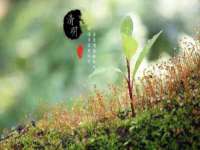 山西宇三勇科技有限公司