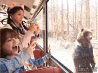 山西宇三勇科技有限公司