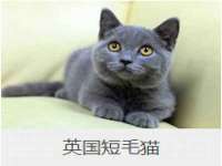 山西宇三勇科技有限公司