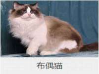 山西宇三勇科技有限公司