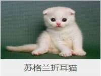 山西宇三勇科技有限公司