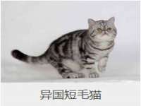 山西宇三勇科技有限公司