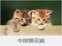 山西宇三勇科技有限公司