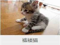 山西宇三勇科技有限公司