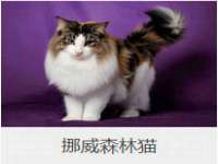 山西宇三勇科技有限公司