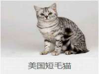 山西宇三勇科技有限公司