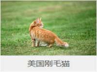 山西宇三勇科技有限公司