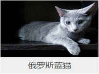 山西宇三勇科技有限公司