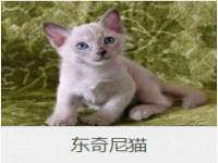 山西宇三勇科技有限公司