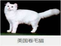 山西宇三勇科技有限公司