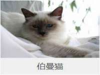 山西宇三勇科技有限公司