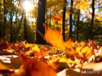 山西宇三勇科技有限公司