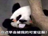 山西宇三勇科技有限公司
