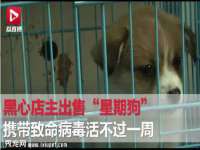 山西宇三勇科技有限公司