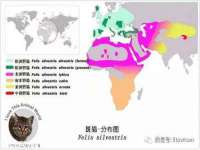 山西宇三勇科技有限公司