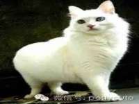 山西宇三勇科技有限公司