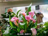 山西宇三勇科技有限公司