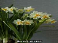 山西宇三勇科技有限公司