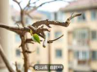 山西宇三勇科技有限公司
