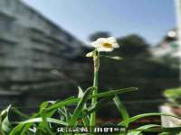 山西宇三勇科技有限公司