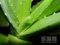 山西宇三勇科技有限公司