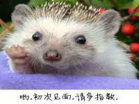 山西宇三勇科技有限公司