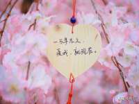 山西宇三勇科技有限公司