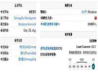 山西宇三勇科技有限公司
