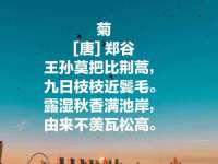 山西宇三勇科技有限公司