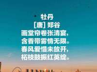 山西宇三勇科技有限公司