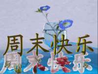 山西宇三勇科技有限公司