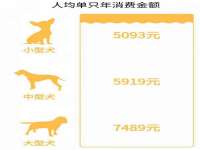 山西宇三勇科技有限公司