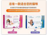 山西宇三勇科技有限公司