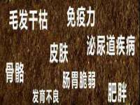 山西宇三勇科技有限公司