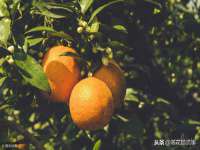 山西宇三勇科技有限公司