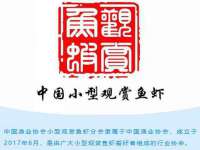 山西宇三勇科技有限公司