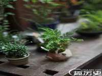 山西宇三勇科技有限公司
