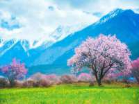 山西宇三勇科技有限公司