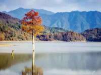 山西宇三勇科技有限公司