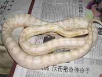 山西宇三勇科技有限公司