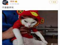 山西宇三勇科技有限公司