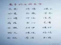 山西宇三勇科技有限公司